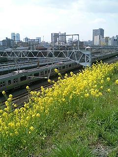 image/ippojapan-2006-03-30T22:20:25-1.jpg